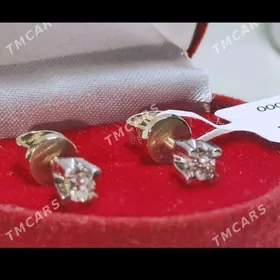 Бриллиантовые гвоздики