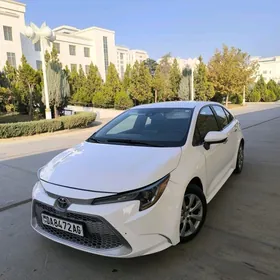 Toyota Corolla 2022