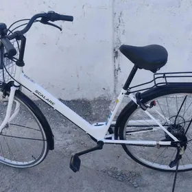 Tigir Ýapoşga welik