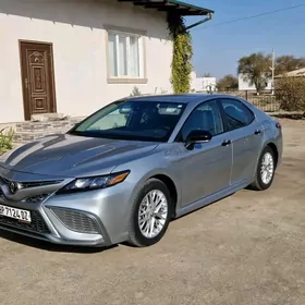 Toyota Camry 2022