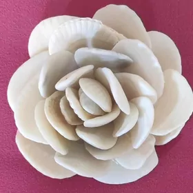 морская роза для декора