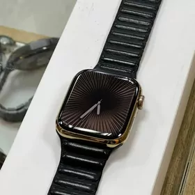 Apple Watch 8 stainless steel