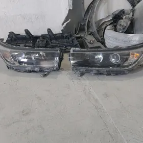 haýlandyr fara diýotly