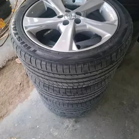 karola exclusiv diska tekeri