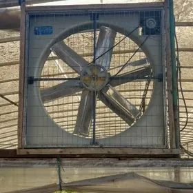 Wentilýator parnik we fehmalar üçin