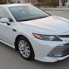 Toyota Camry 2020