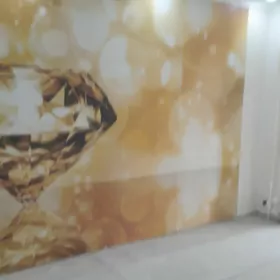 Satylyk kwartira 1 mik