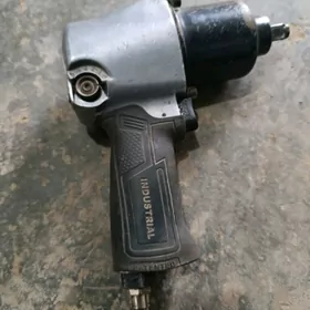 Gaykawyort Boltawyort howaly