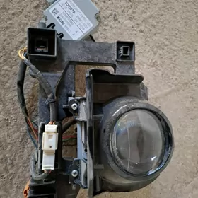 Fara  Hailander Lupa