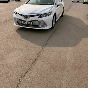 Toyota Camry 2020