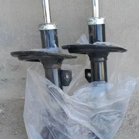 Siena amansatr onkiler