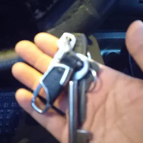 masynymda acar tapdym