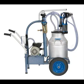 sygyr sagyan, sagym aparat