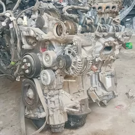 Yumurtga mator taze model20/24