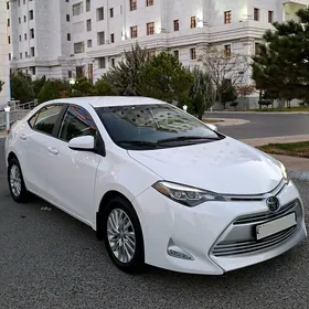 Toyota Corolla 2019