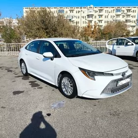 Toyota Corolla 2021
