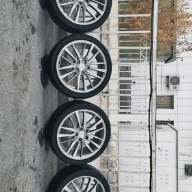 disga pakryshga 18cemry