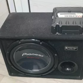 Sambufer  bocka pıoner