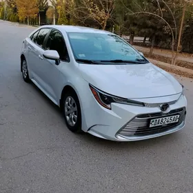 Toyota Corolla 2023