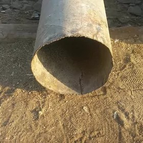 Nasoz turba  asinkowy 170lik