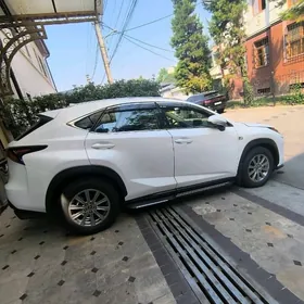 Lexus NX 300 2020