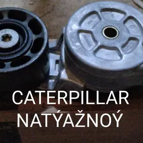 NATAŽNOÝ CATARPILLAR