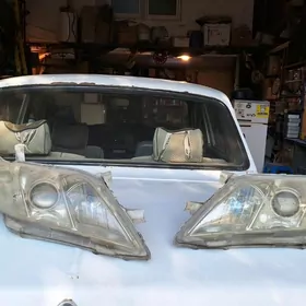 окуз келле фара