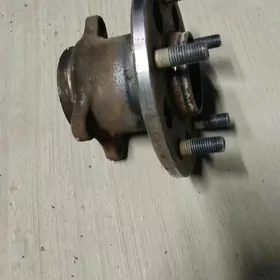 stupitsa palta kemry