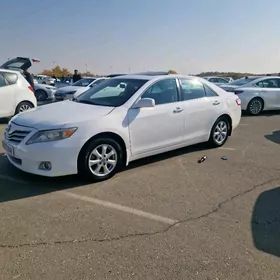 Toyota Camry 2010