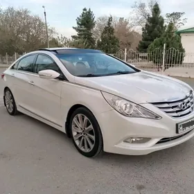 Hyundai Sonata 2010