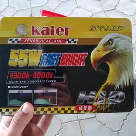 Ksenon Kaier arginal