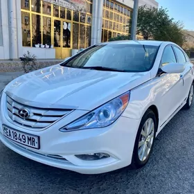 Hyundai Sonata 2010
