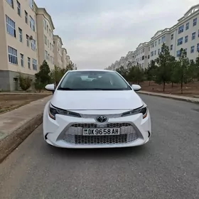 Toyota Corolla 2021
