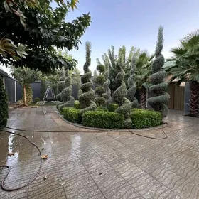 ️BAGYR MIREWE VILLA KATEJ JAÝ