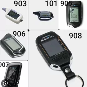 MACIGAR KORPUS DASLASRY