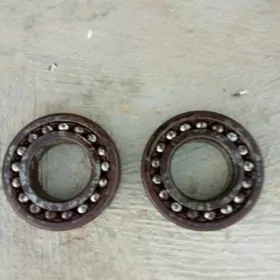 Un değirmenin paşipnigi