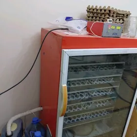 Enkowator Inkubator 500