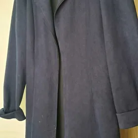 plaẓ̌ ẓ̌enskiy