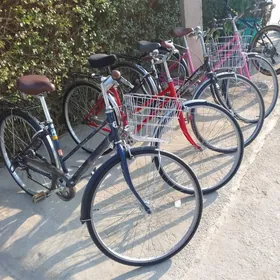 tigir 27 lyk yapşka