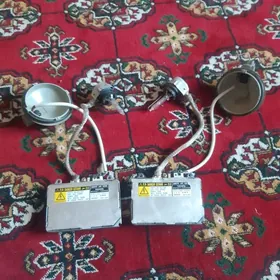 arginal sinon releli japan