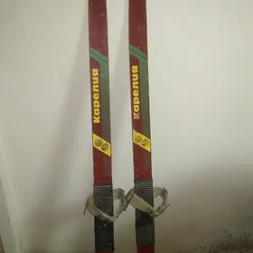 Лыжи лыжа лыжы lyzy lyzhy lyzh