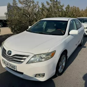 Toyota Camry 2010