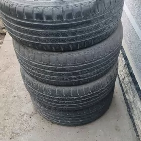 225/55/17 balon pakryşka