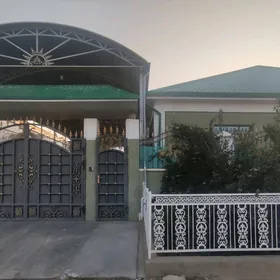 SATLYK BEREKETLI ZAMAN 12 SOT