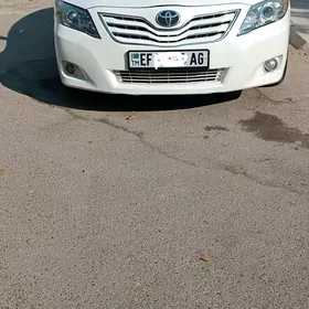 Toyota Camry 2010