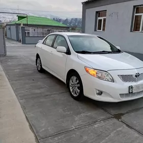Toyota Corolla 2010