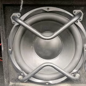 kalonka bass gyssagly