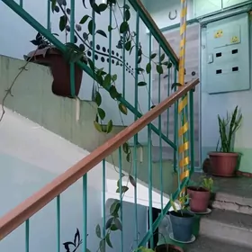 квартира в аренду,kireýine jaý