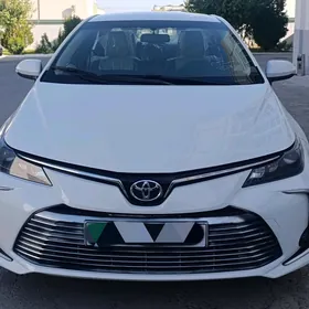 Toyota Corolla 2023