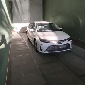 Toyota Corolla 2023